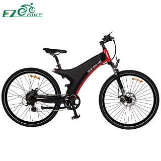 Electric Bike  TDA11 250W